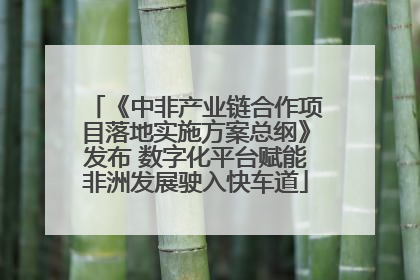 《中非产业链合作项目落地实施方案总纲》发布 数字化平台赋能非洲发展驶入快车道