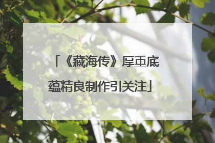 《藏海传》厚重底蕴精良制作引关注