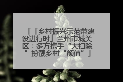 「乡村振兴示范带建设进行时」兰州市城关区：多方携手“大扫除”扮靓乡村“颜值”
