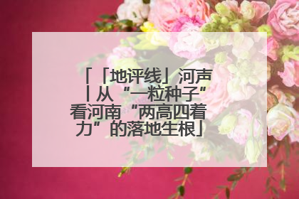 「地评线」河声丨从“一粒种子”看河南“两高四着力”的落地生根