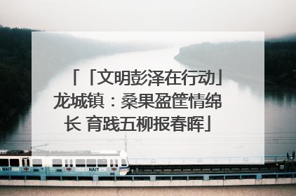「文明彭泽在行动」龙城镇：桑果盈筐情绵长 育践五柳报春晖