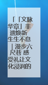 「文脉华章」非遗焕新 生生不息｜漫步六尺巷 感受礼让文化浸润的“巷”往生活