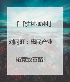 「驻村·助村」刘同旺：惠民产业拓宽致富路
