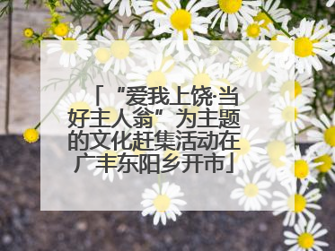 “爱我上饶·当好主人翁”为主题的文化赶集活动在广丰东阳乡开市