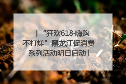 “狂欢618·嗨购不打烊”黑龙江促消费系列活动明日启动