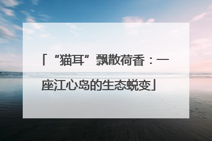 “猫耳”飘散荷香：一座江心岛的生态蜕变
