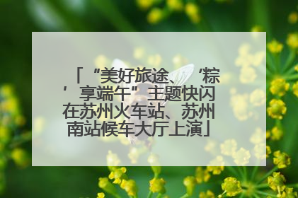 “美好旅途、‘粽’享端午”主题快闪在苏州火车站、苏州南站候车大厅上演