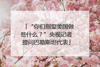 “你们指望美国做些什么？”央视记者提问巴勒斯坦代表