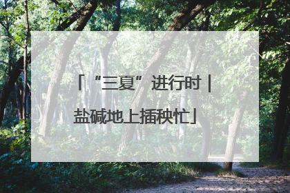 “三夏”进行时｜盐碱地上插秧忙