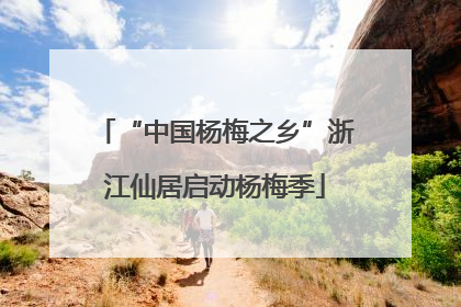 “中国杨梅之乡”浙江仙居启动杨梅季