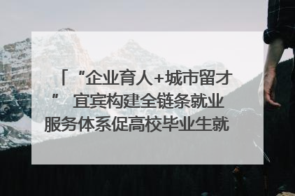 “企业育人+城市留才” 宜宾构建全链条就业服务体系促高校毕业生就业｜您牵挂的四川