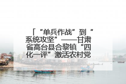 “单兵作战”到“系统攻坚”——甘肃省高台县合黎镇“四化一评”激活农村党员管理新引擎