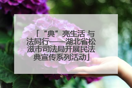 “典”亮生活 与法同行——湖北省松滋市司法局开展民法典宣传系列活动