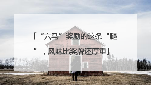 “六马”奖励的这条“腿”，风味比奖牌还厚重