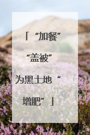 “加餐”“盖被” 为黑土地“增肥”