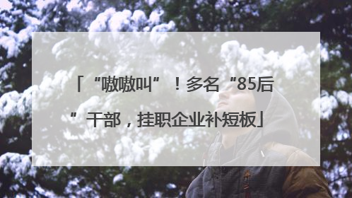 “嗷嗷叫”！多名“85后”干部，挂职企业补短板