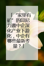 “家里有矿”的印尼力邀中企深化产业下游化，中企有哪些最新考量？