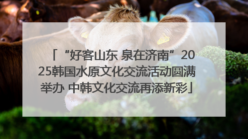 “好客山东 泉在济南”2025韩国水原文化交流活动圆满举办 中韩文化交流再添新彩