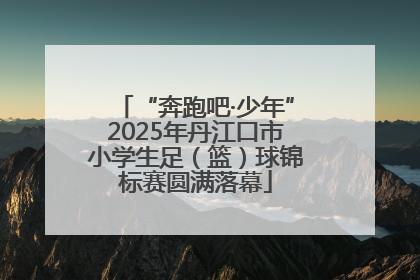 “奔跑吧·少年”2025年丹江口市小学生足（篮）球锦标赛圆满落幕