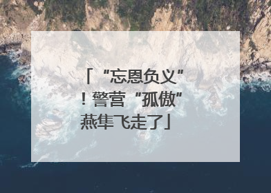 “忘恩负义”！警营“孤傲”燕隼飞走了