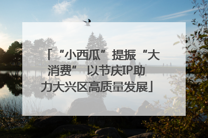 “小西瓜”提振“大消费” 以节庆IP助力大兴区高质量发展