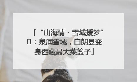 “山海情・雪域援梦”⑪：泉润雪域，白朗县变身西藏最大菜篮子