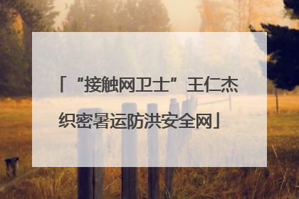 “接触网卫士”王仁杰织密暑运防洪安全网