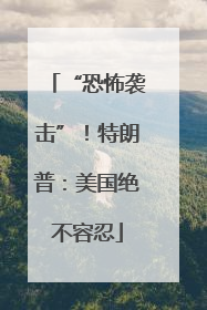 “恐怖袭击”！特朗普：美国绝不容忍