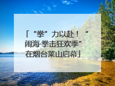 “拳”力以赴！“闹海·拳击狂欢季”在烟台莱山启幕