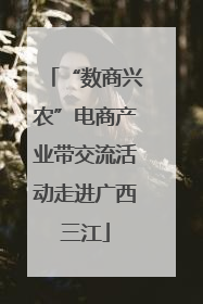 “数商兴农”电商产业带交流活动走进广西三江