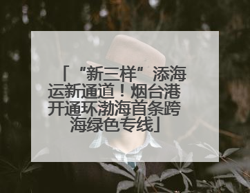 “新三样”添海运新通道！烟台港开通环渤海首条跨海绿色专线