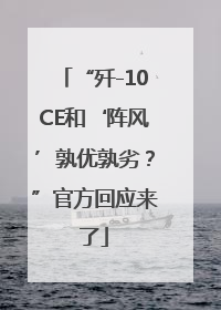 “歼-10CE和‘阵风’孰优孰劣？”官方回应来了