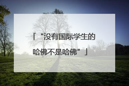 “没有国际学生的哈佛不是哈佛”