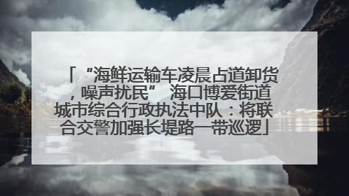 “海鲜运输车凌晨占道卸货，噪声扰民” 海口博爱街道城市综合行政执法中队：将联合交警加强长堤路一带巡逻