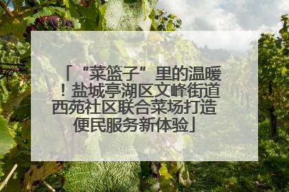 “菜篮子”里的温暖！盐城亭湖区文峰街道西苑社区联合菜场打造便民服务新体验