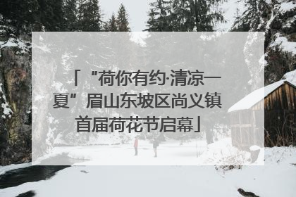 “荷你有约·清凉一夏”眉山东坡区尚义镇首届荷花节启幕