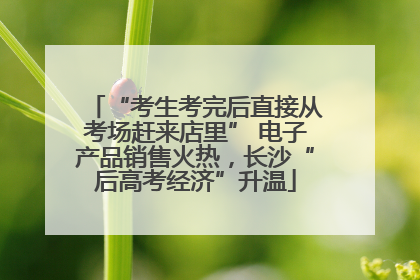 “考生考完后直接从考场赶来店里” 电子产品销售火热，长沙“后高考经济”升温