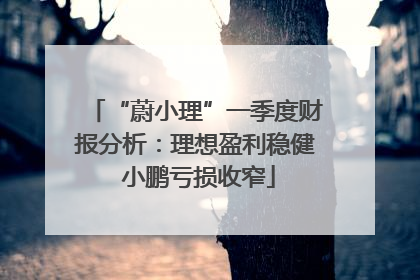 “蔚小理”一季度财报分析：理想盈利稳健 小鹏亏损收窄