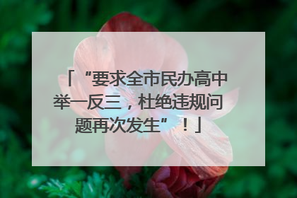 “要求全市民办高中举一反三，杜绝违规问题再次发生”！