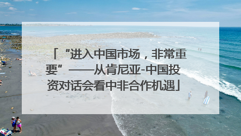 “进入中国市场，非常重要”——从肯尼亚-中国投资对话会看中非合作机遇