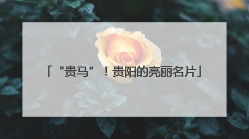 “贵马”！贵阳的亮丽名片