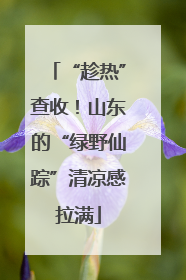 “趁热”查收！山东的“绿野仙踪”清凉感拉满