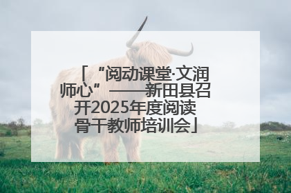 “阅动课堂·文润师心”——新田县召开2025年度阅读骨干教师培训会