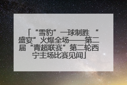 “雪豹”一球制胜 “盛宴”火爆全场——第二届“青超联赛”第二轮西宁主场比赛见闻