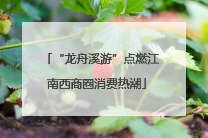 “龙舟溪游”点燃江南西商圈消费热潮