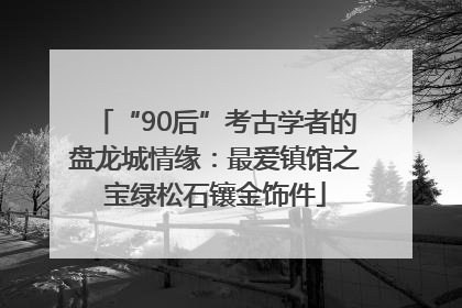 “90后”考古学者的盘龙城情缘：最爱镇馆之宝绿松石镶金饰件