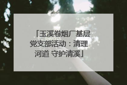 玉溪卷烟厂基层党支部活动：清理河道 守护清溪