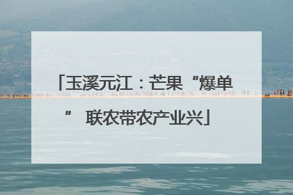 玉溪元江：芒果“爆单” 联农带农产业兴