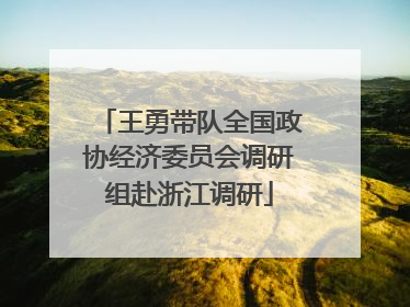 王勇带队全国政协经济委员会调研组赴浙江调研
