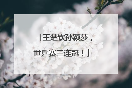 王楚钦孙颖莎，世乒赛三连冠！